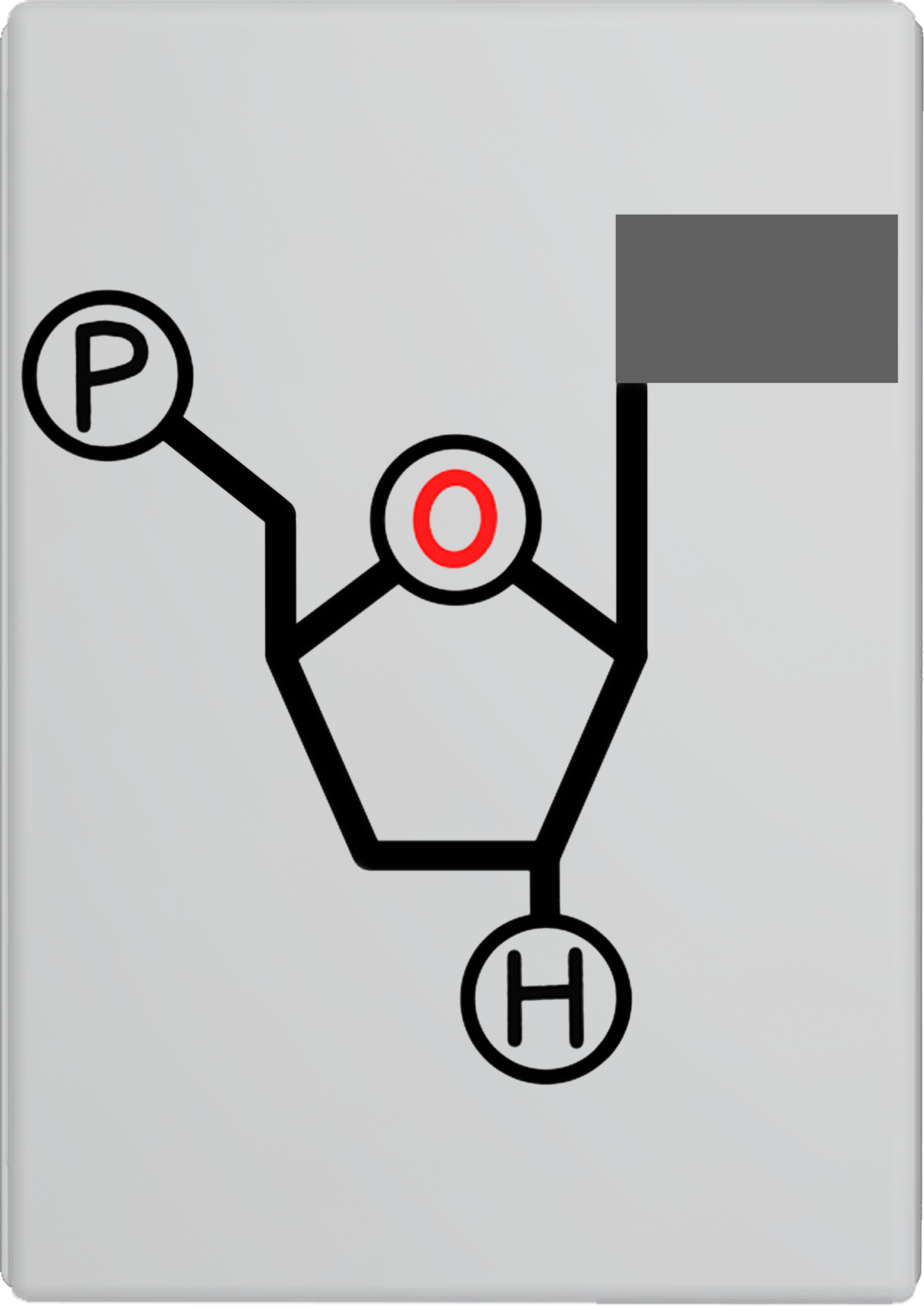 3-脱氧核糖核苷酸